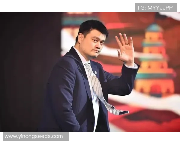 姚明在中国与德国篮球文化交流中的重要角色与影响分析