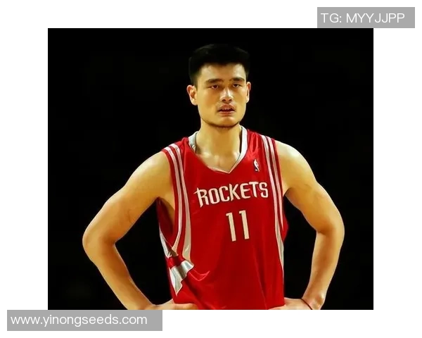 姚明美国庄园的奢华生活与篮球传奇交织的美好时光 姚明美国庄园的奢华生活与篮球传奇交织的美好时光