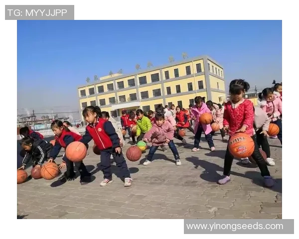 姚明铭武大传承与创新的篮球精神与文化探索之旅 姚明铭武大传承与创新的篮球精神与文化探索之旅