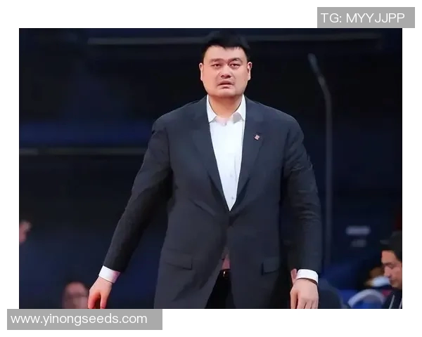 姚明身高揭秘他究竟有多高让人惊叹不已