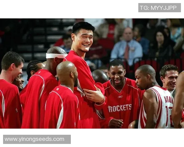 季后赛中对姚明的战术调整与应对策略分析