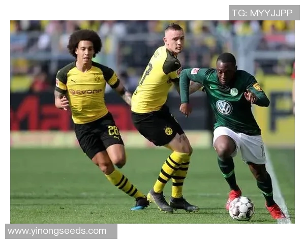 德甲全新赛季开局阿尔卡塞尔胜志在必得暂居联赛榜首