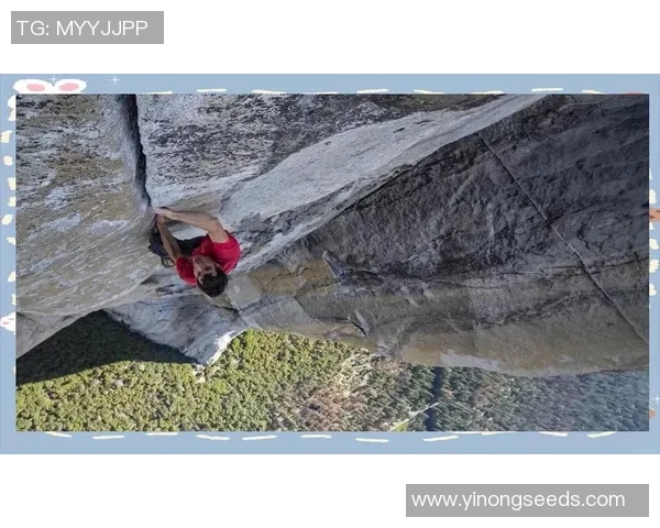 成都攀岩队的整体压制揭秘与攀岩深度的探索之旅