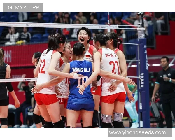 杭州排球队战术深度解析与实战应用探讨