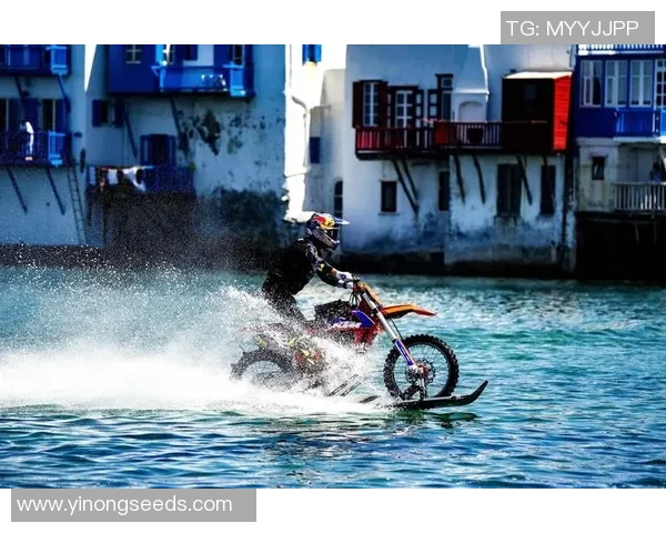 极限运动的魅力与挑战：探索杭州极限运动队的团队协作与包夹策略