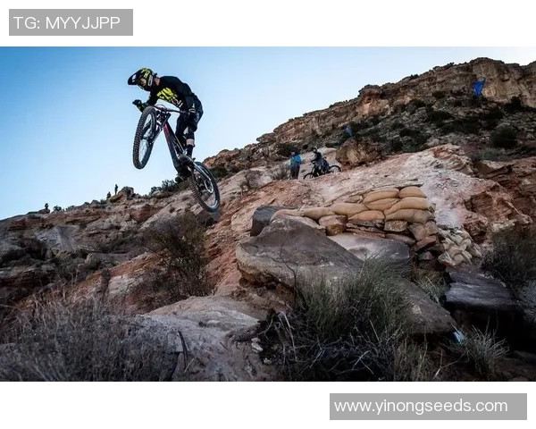 武汉极限运动队揭秘:深度解析他们的盯防策略与训练技巧 武汉极限运动队揭秘:深度解析他们的盯防策略与训练技巧