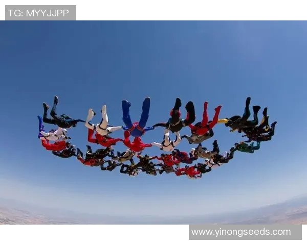 深圳极限运动队心理素质研究:挑战极限与团队协作的内在联系分析 深圳极限运动队心理素质研究:挑战极限与团队协作的内在联系分析