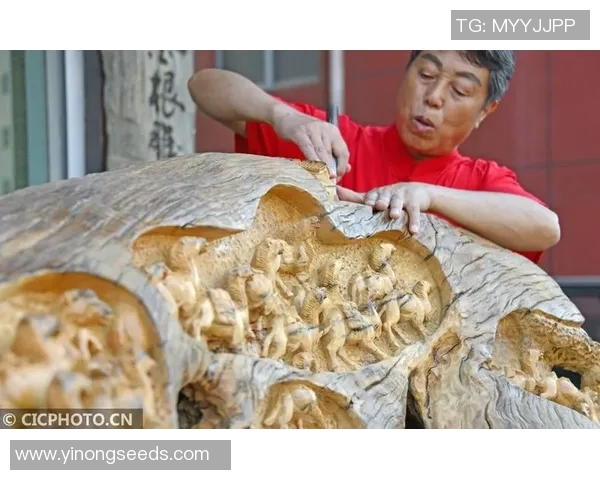 温县陈姚明：传承传统技艺与现代创新的完美结合之路