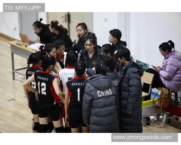 西安排球队在排球比赛经验排行榜中荣获第二名的背后故事与分析 西安排球队在排球比赛经验排行榜中荣获第二名的背后故事与分析