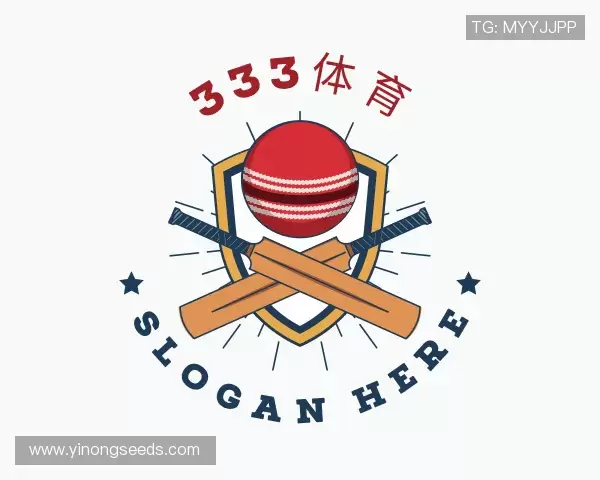 关于333体育