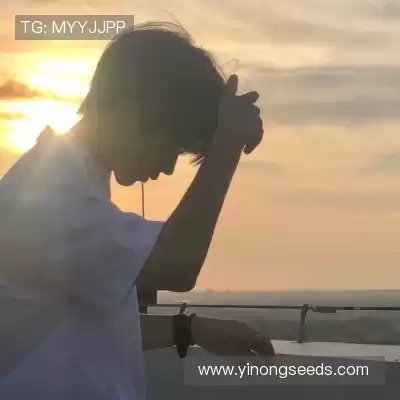 杜颢炼