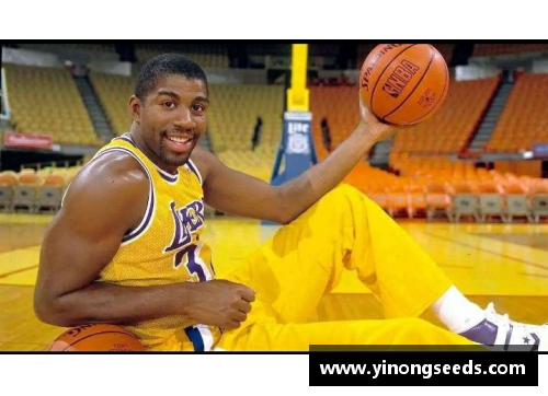 2007年NBA赛季：豪门对决与新秀崛起