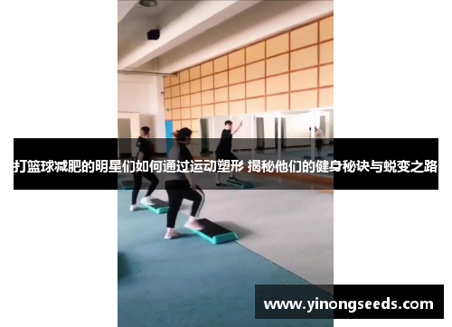 打篮球减肥的明星们如何通过运动塑形 揭秘他们的健身秘诀与蜕变之路