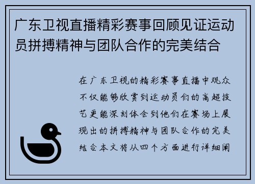广东卫视直播精彩赛事回顾见证运动员拼搏精神与团队合作的完美结合